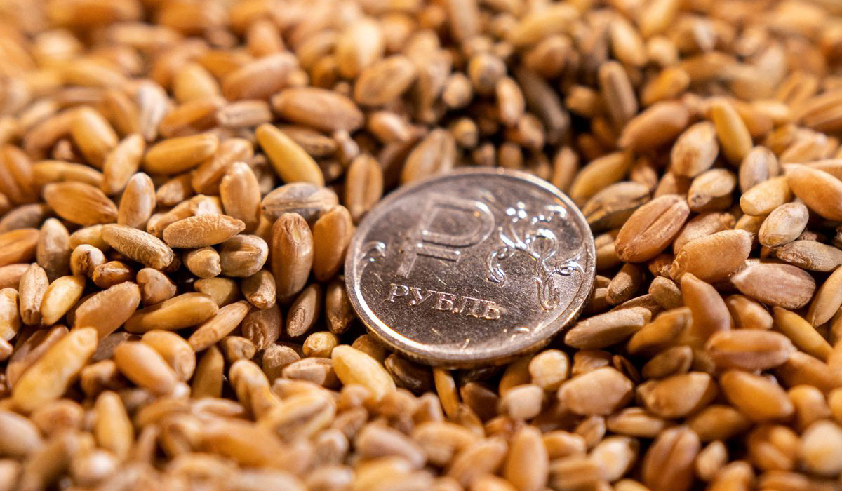 Russian rouble coin sits on grains